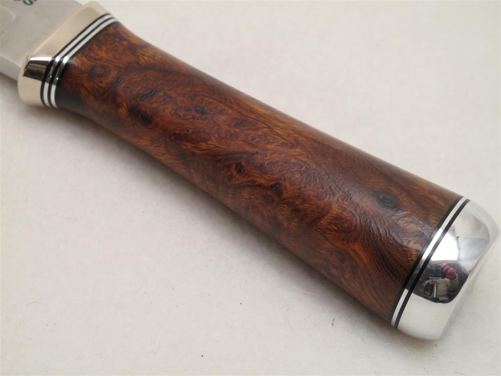 IMG_1181 (Large).JPG IMG_1181 (Large).JPG