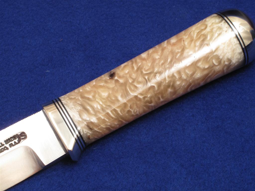 IMG_1937 (Large).JPG IMG_1937 (Large).JPG