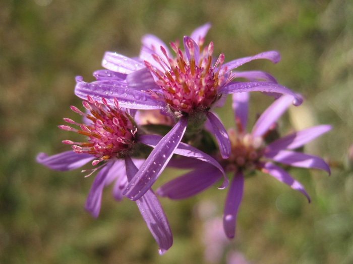 Nov 08 2011.jpg