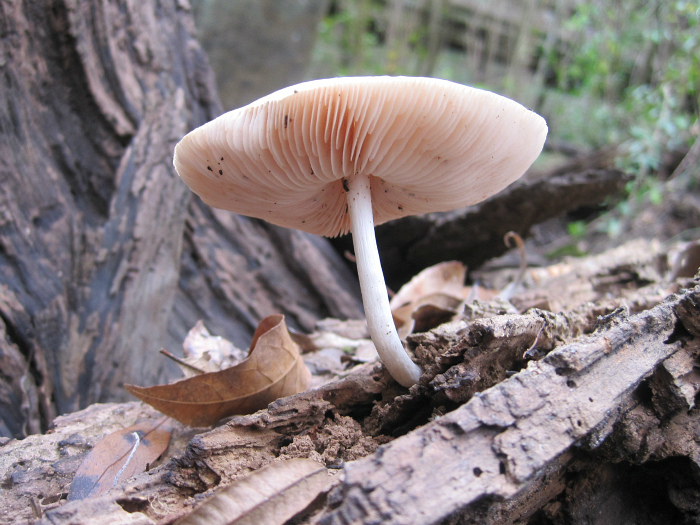 Nov 23 2011.jpg