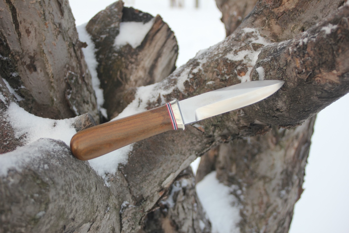 Gambler 1 (6).JPG Gambler 1 (6).JPG