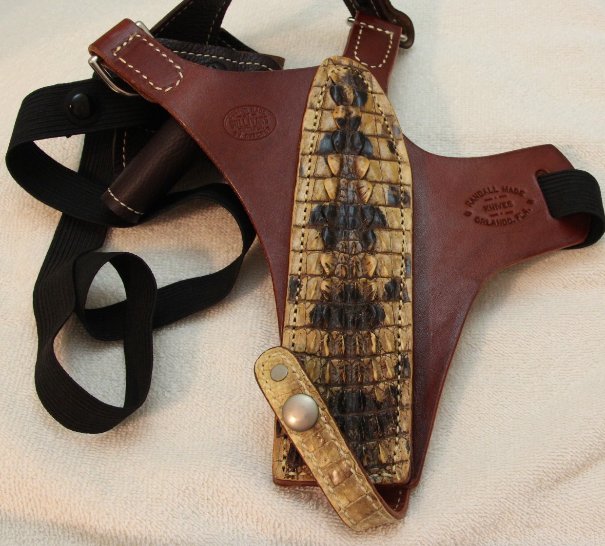 Gator (2).JPG Gator (2).JPG