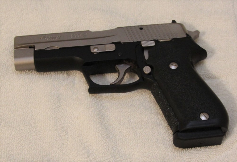 P220 (2).JPG