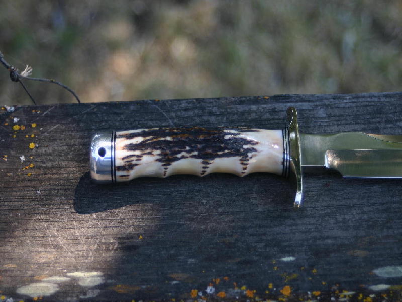 Randall 1-8b stag c.jpg
