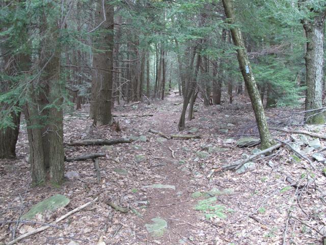 IMG_0343 (Small).JPG