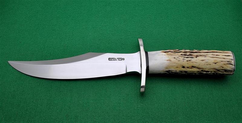 12-8 Bear (Medium).jpg