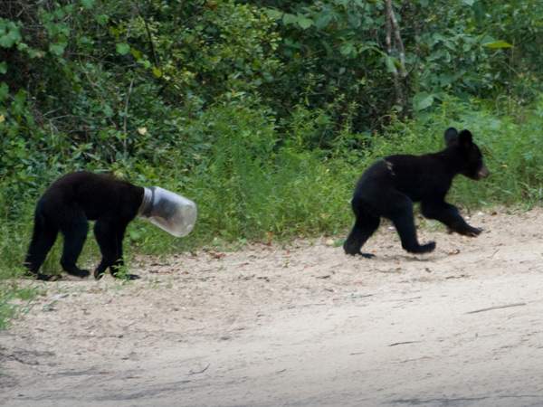 Jarhead.jpg