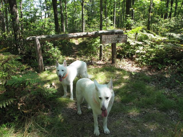 IMG_0465 (Small).JPG