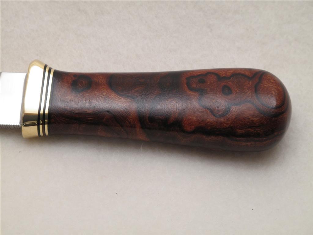 IMG_0479 (Large).JPG IMG_0479 (Large).JPG