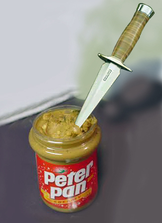 ppan1.jpg