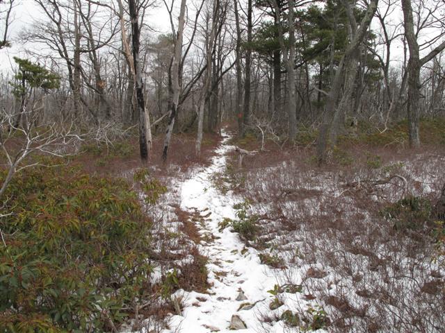 IMG_1323 (Small).JPG