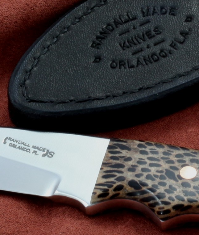 Triathelete-Palm Wood 003.jpg