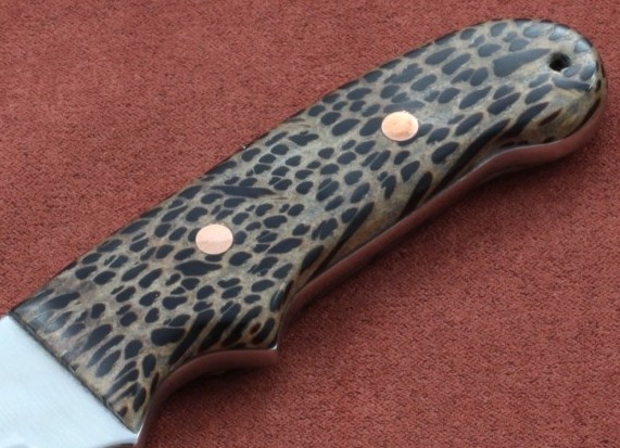 Triathelete-Palm Wood 006.jpg
