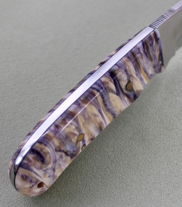 Triathelete in Mammoth tooth 006.jpg