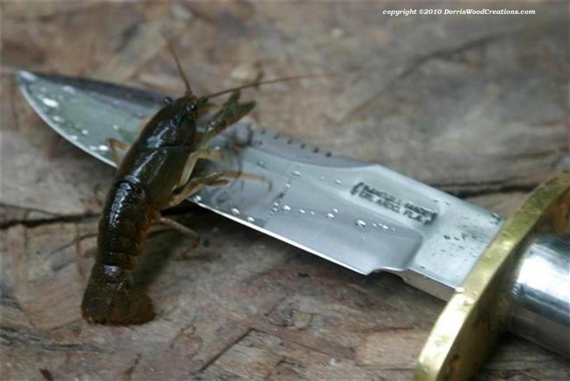 RMK_18_WV_crawdad_text (Medium).jpg