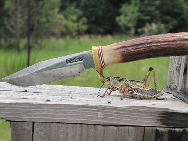 Lubber 06 Jun 2011 005.jpg