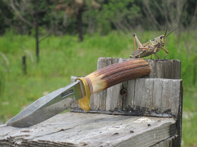 Lubber 06 Jun 2011 007.jpg