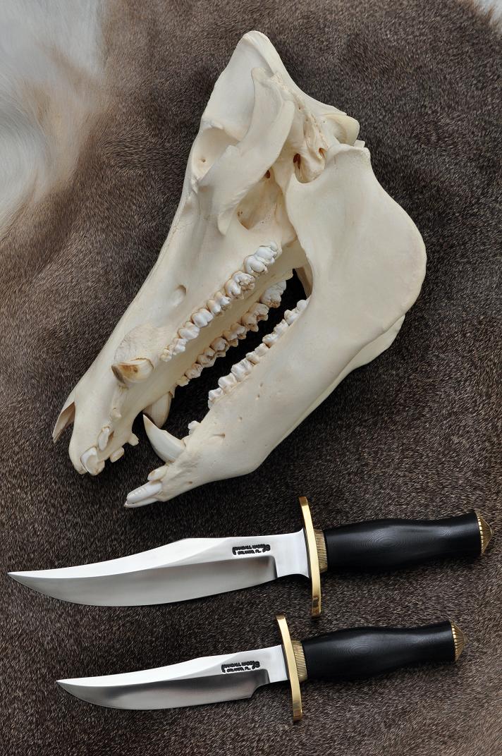 Bears and boar 001 25.JPG