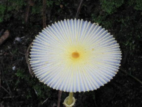 30 Jun 2011 07.jpg