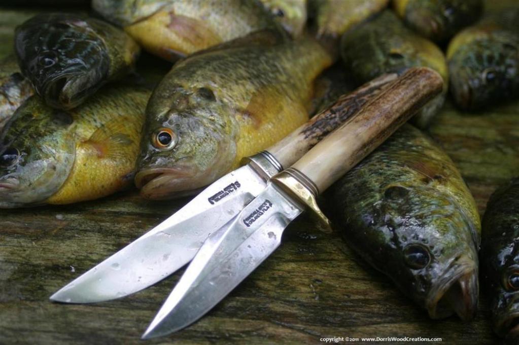 knives_fish_88KB.jpg