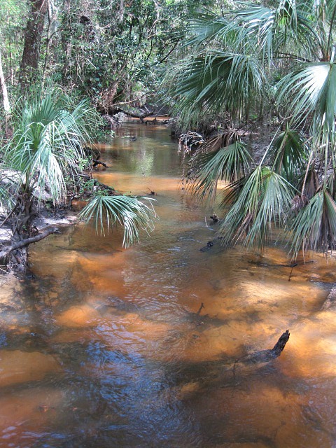 Sep 2011 creek 01.jpg