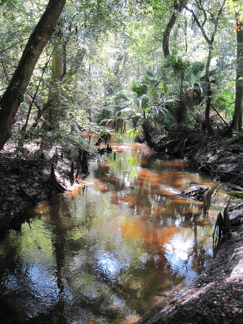 Sep 2011 creek 04.jpg