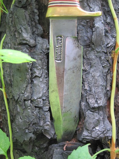 pine vine 04.jpg