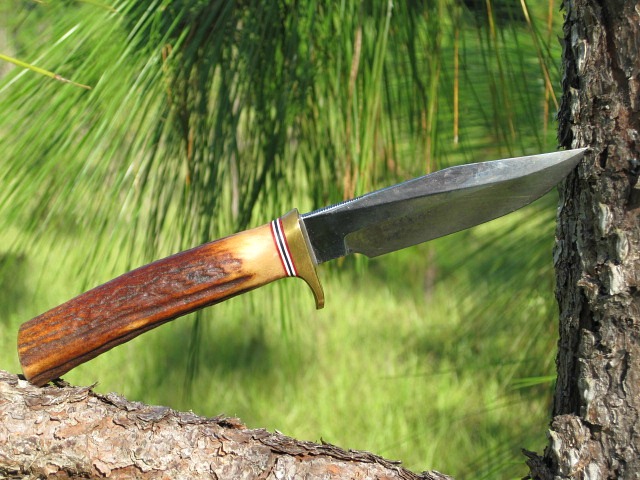 pine 5-4.jpg