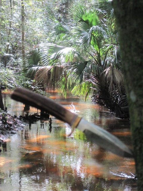 Sep 2011 creek 07.jpg