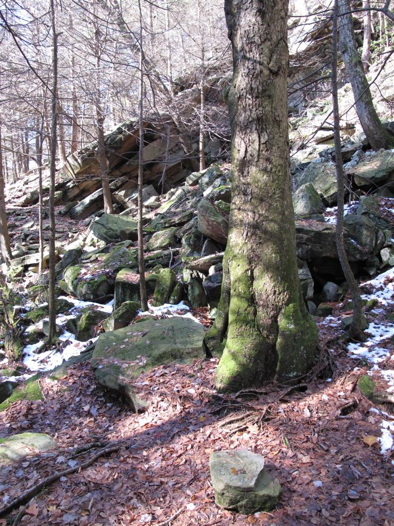 IMG_1962 (Large).JPG