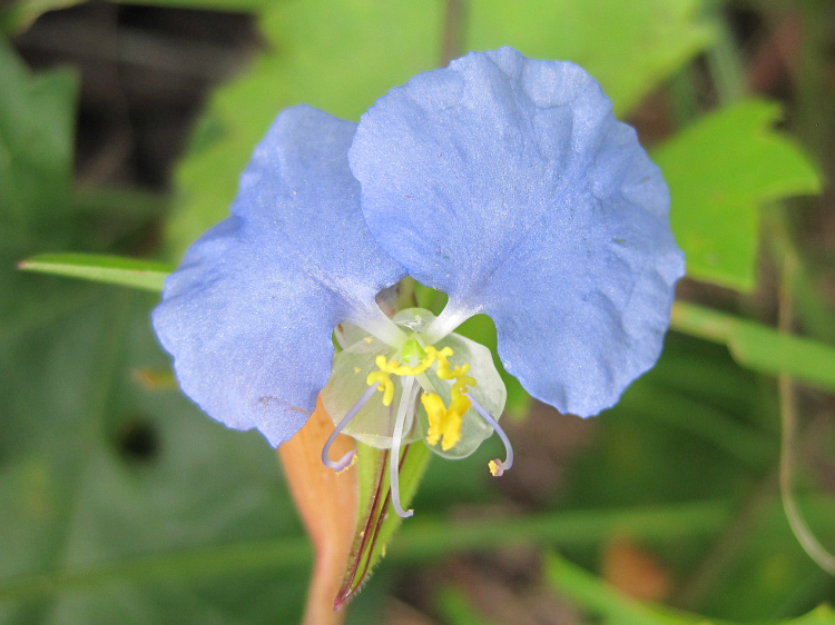 Nov 15 2011 007.jpg
