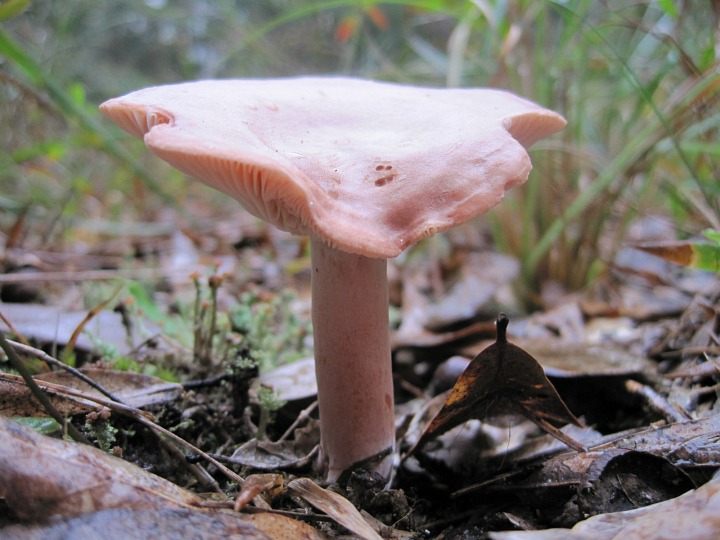 Nov 04 2011 019.jpg