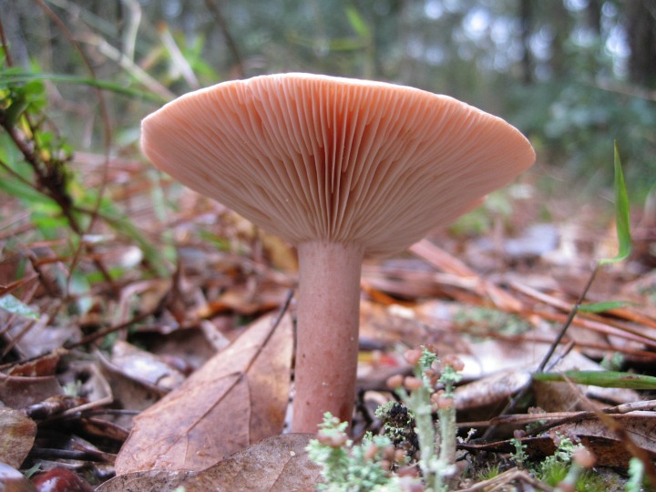 Nov 04 2011 016.jpg