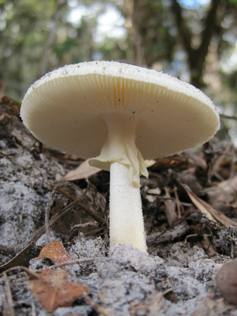 Nov 16 2011 04.jpg