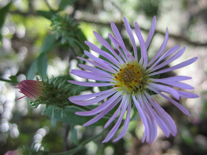 Nov 16 2011 012.jpg