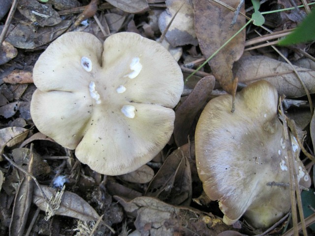 Oct 24 2011 1.jpg