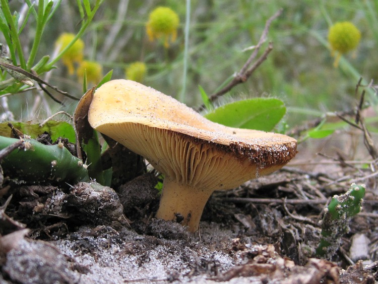 Nov 15 2011 06.jpg