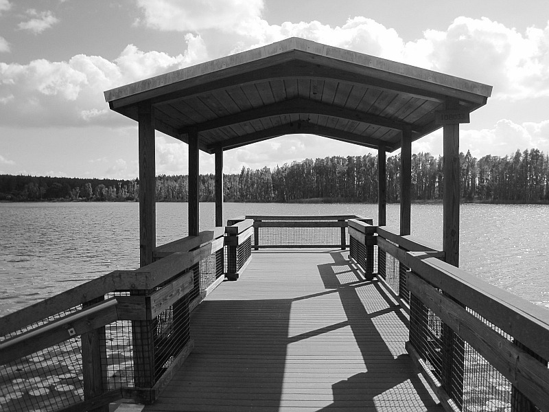 Louisa Park Nov 20 2011.jpg