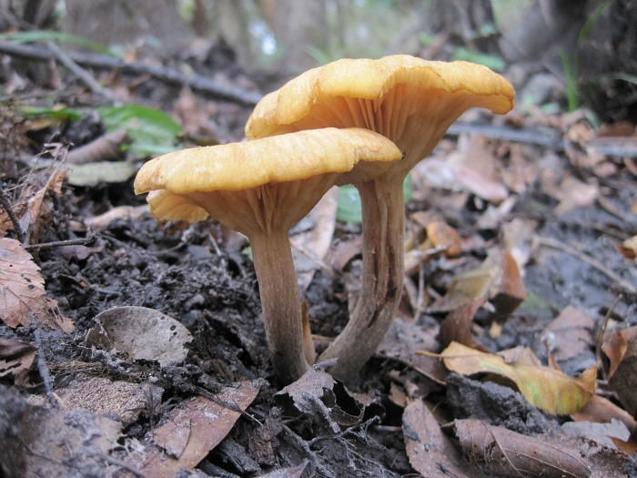 Nov 23 2011 06.jpg