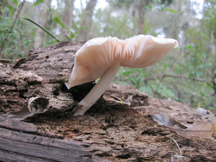 Nov 23 2011 01.jpg