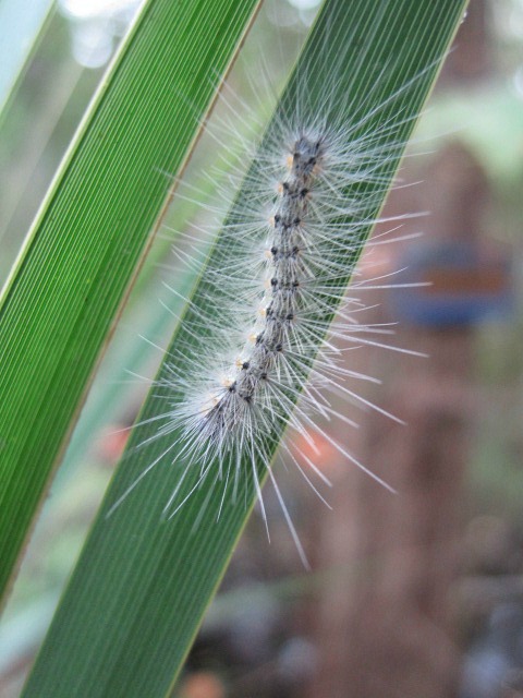 Oct 18 2011.jpg