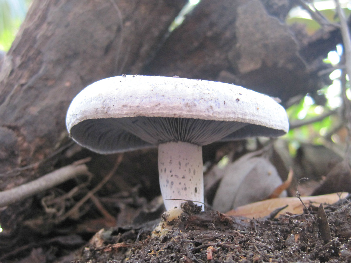 Nov 30 2011 01.jpg