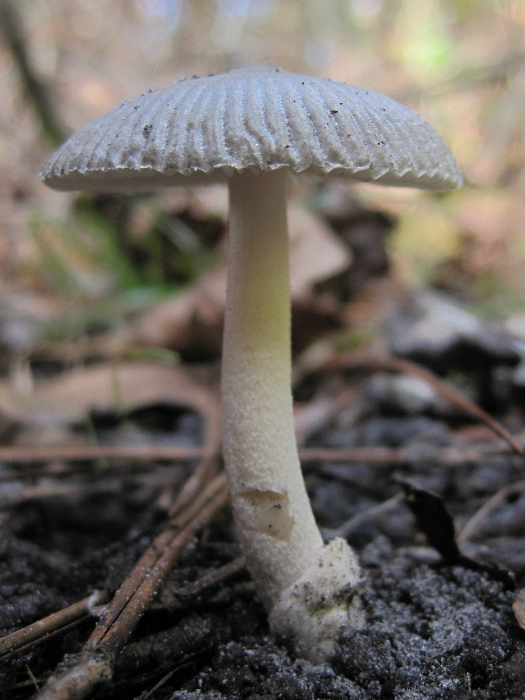 Dec 09 2011 02.jpg