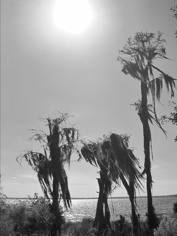 Dec 20 2011 006.jpg