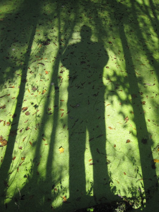 Dec 14 2011 01.jpg