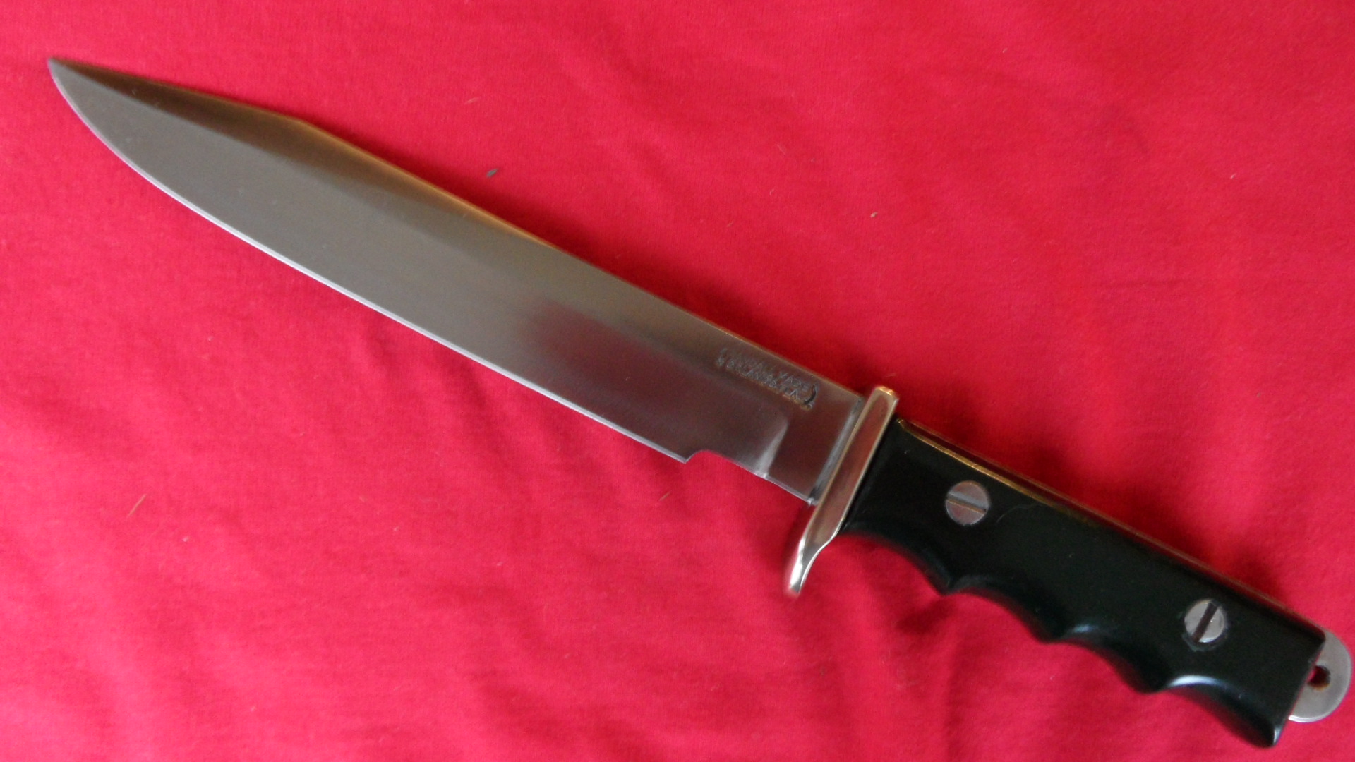 SAM_3166.JPG
