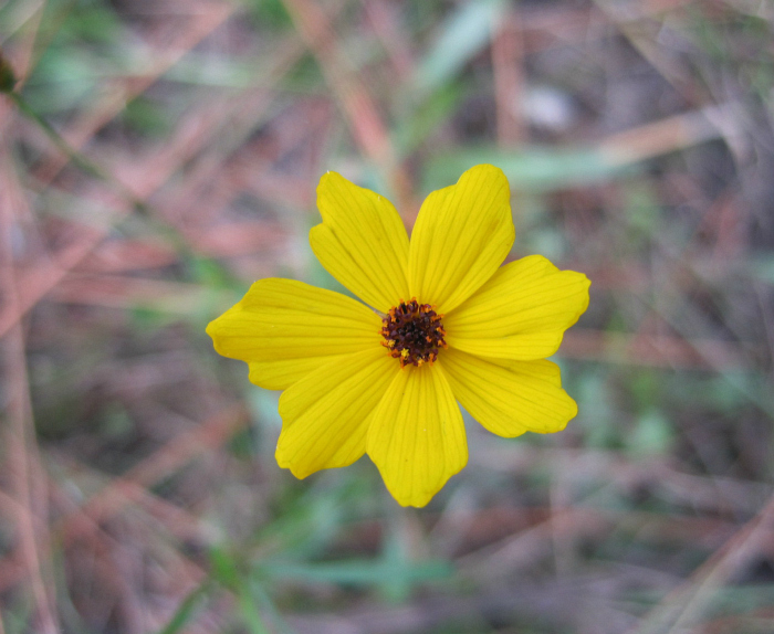 Dec 02 2011 001a.jpg