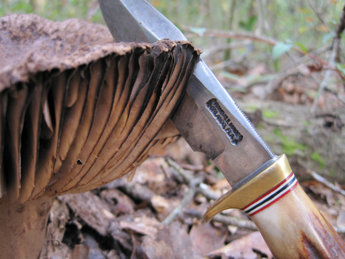 Nov 04 2011 152b.jpg