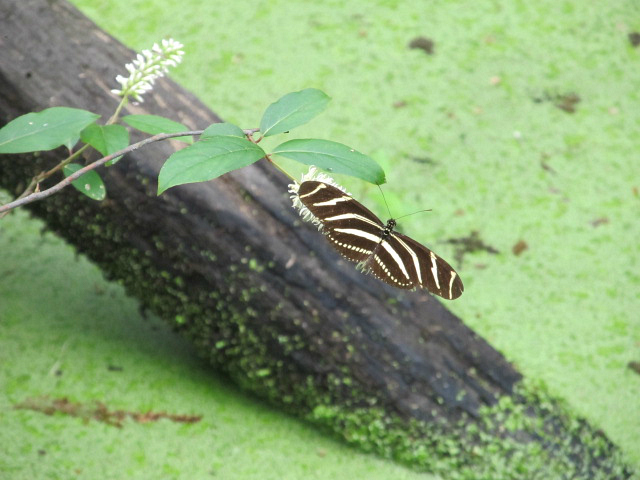 Feb 03 2012 a.jpg