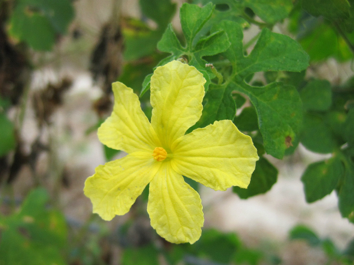 Nov 22 2011 039a.jpg